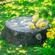 Крышка люка Пень маленький 60см стеклопластик U07697 - фото 74786