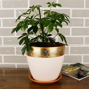 Набор горшков ПАТАЛЬ бутон валенсия бронза 4шт - фото 74807