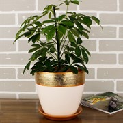 Набор горшков ПАТАЛЬ бутон валенсия бронза 4шт - фото 74808