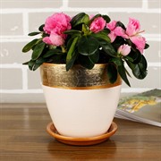 Набор горшков ПАТАЛЬ бутон валенсия бронза 4шт - фото 74810