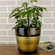 Набор горшков РОСПИСЬ бутон ритм бронза 4шт - фото 74821