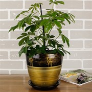 Набор горшков РОСПИСЬ бутон ритм бронза 4шт - фото 74822