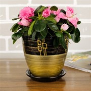 Набор горшков РОСПИСЬ бутон ритм бронза 4шт - фото 74824