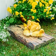 Поддон для садовой колонки стеклопластик под дерево U09226 - фото 74943