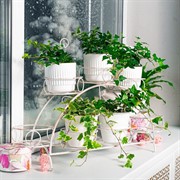 Подставка для цветов на подоконник на 7 цветов металл 14-917-WG - фото 74984