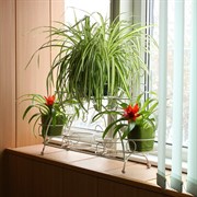 Подставка для цветов на подоконник на 7 цветов металл 14-917-WG - фото 74985