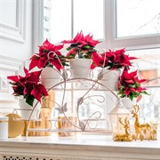 Подставка для цветов на подоконник на 7 цветов металл 14-917-WG - фото 74987