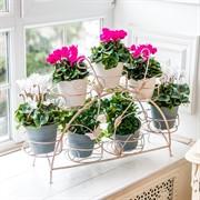 Подставка для цветов на подоконник на 7 цветов металл 14-917-WG - фото 74993