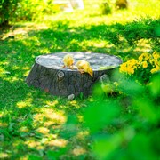 Крышка люка декоративная Пень дубовый на 60 см U09102 - фото 75188