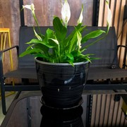 Горшок Бутон 21см 5л чёрный-серебро - фото 75383