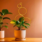 Опора для комнатных цветов 43см золотая металл 57-962G - фото 75519