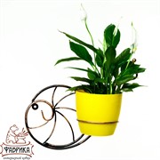 Цветочница настенная Улитка на 1 горшок 15см чёрно-золотая металл 96-004 - фото 7552