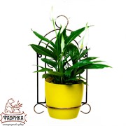 Подставка 96-007 настенная Клетка малая - фото 7558