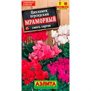 Цикламен Мраморный - фото 75647