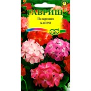 Пеларгония Капри F2 4шт - фото 75651