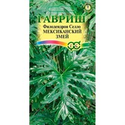 Филодендрон Селло Мексиканский змей 5 шт - фото 75652