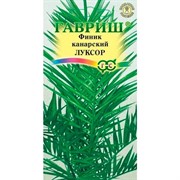 Финик канарский Луксор 2шт - фото 75653
