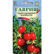 Гранат карликовый Карфаген 5 шт - фото 75655