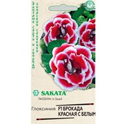 Глоксиния Брокада красная с белым 5шт - фото 75656