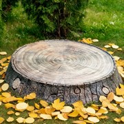 Крышка люка декоративная Пень дубовый на 80см U09109 - фото 75679