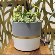 Горшок Кедр 1,7л белый №2 - фото 75690