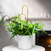 Опора для комнатных растений металлическая золото 45см 57-938G - фото 75697