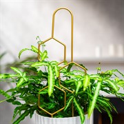 Опора для комнатных растений металлическая золото 45см 57-938G - фото 75698