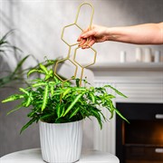 Опора для комнатных растений металлическая золото 45см 57-938G - фото 75699