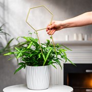 Опора для комнатных растений металл золото 35см 57-933G - фото 75701