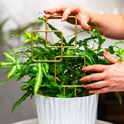 Опора для комнатных растений 32см золотая металл 57-935G - фото 75704