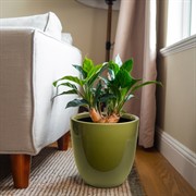 Горшок Сириус 16,5л папоротник с вкладкой - фото 75920