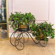 Подставка напольная на 2 растения металл 401-035BG - фото 75978