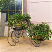 Подставка напольная на 2 растения металл 401-035BG - фото 75979