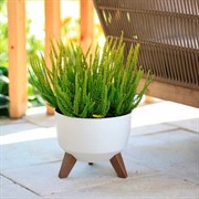 Кашпо РОМА на ножках 5,1л 24х19 кремовый - фото 76051