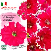 Петуния Калиффо вишнёвая 7шт - фото 76338