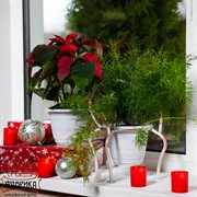 Подставка Кресло на 1 цветок 15 95-033 - фото 7636