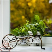 Подставка Тачка на 2 цветка 10 и 15 95-038 - фото 7660 Подставка Тачка на 2 цветка 10 и 15 95-038 - фото 7660