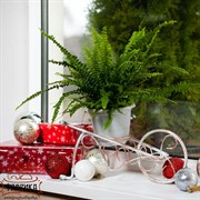 Подставка Тачка на 1 цветок металлическая диаметр 10см 95-039 - фото 7665