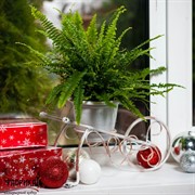 Подставка Тачка на 1 цветок металлическая диаметр 10см 95-039 - фото 7666