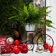 Подставка на подоконник Велосипед на 1 цветок диаметр 10см 95-041 - фото 7674