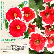 Петуния Хулахуп красный 5шт - фото 76921