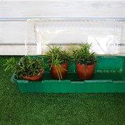 Парник на подоконник 3 места - фото 77055