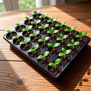 Кассета для рассады 24 ячейки круглые 0,23л - фото 77093