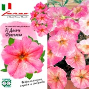 Петуния Дольче Фраголино F1 7шт - фото 77303