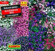 Лобелия Маленькая фея - фото 77560