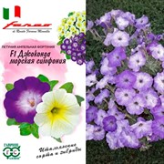 Петуния Джоконда морская симфония F1 7шт - фото 77670