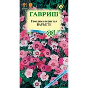 Гвоздика перистая Варьете 0,1г - фото 78194