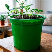 Горшок для рассады 2л зелёный - фото 78205