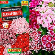 Гвоздика Макарена F2 - фото 78207
