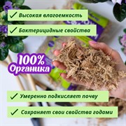 Мох Сфагнум 1л Био-Мастер - фото 78355